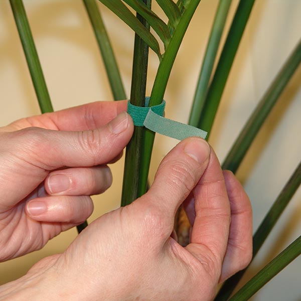 Velcro per giardinaggio
